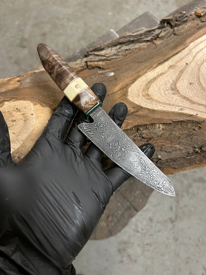 Damascus Petty Knife
