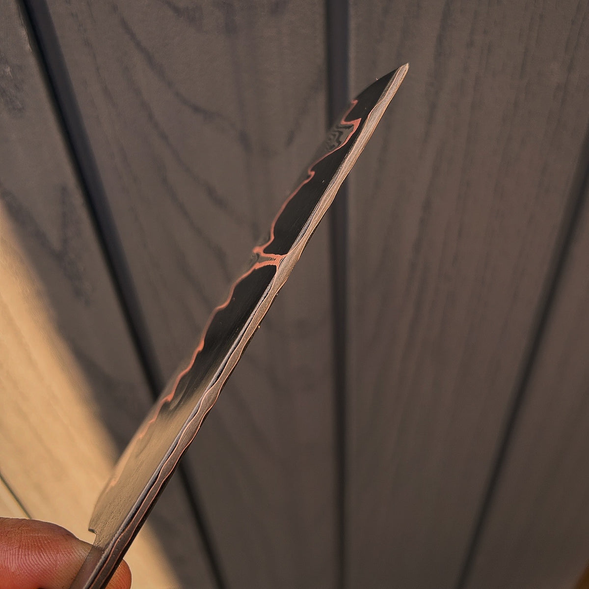 “Sunrise” Baby Nakiri