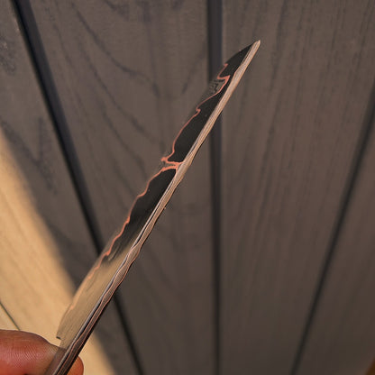 “Sunrise” Baby Nakiri