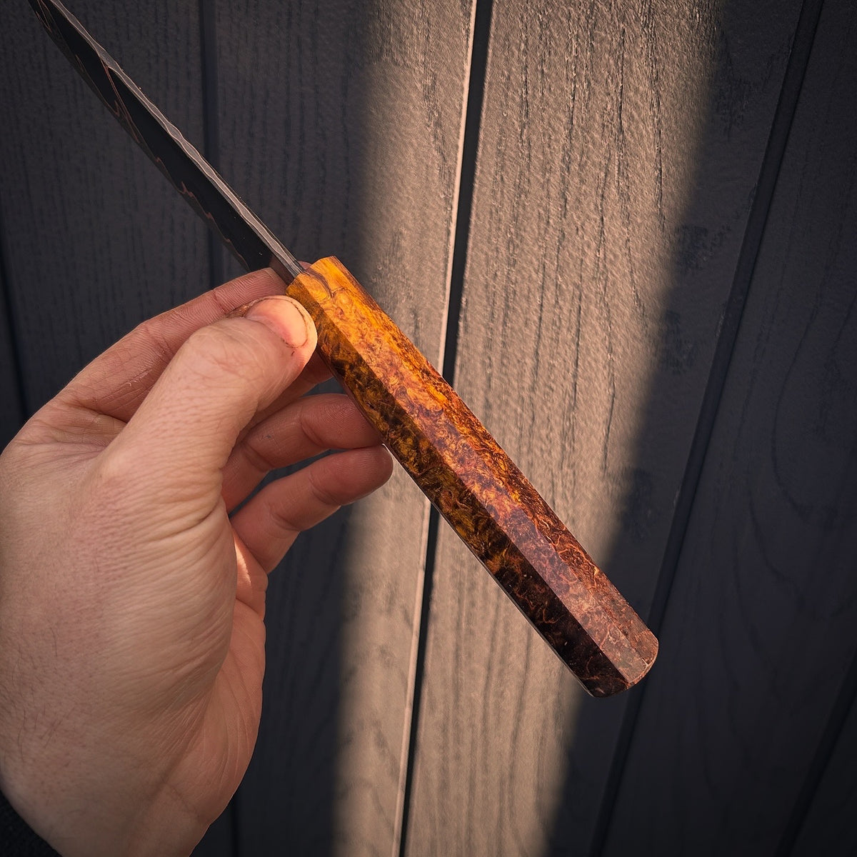 “Sunrise” Baby Nakiri