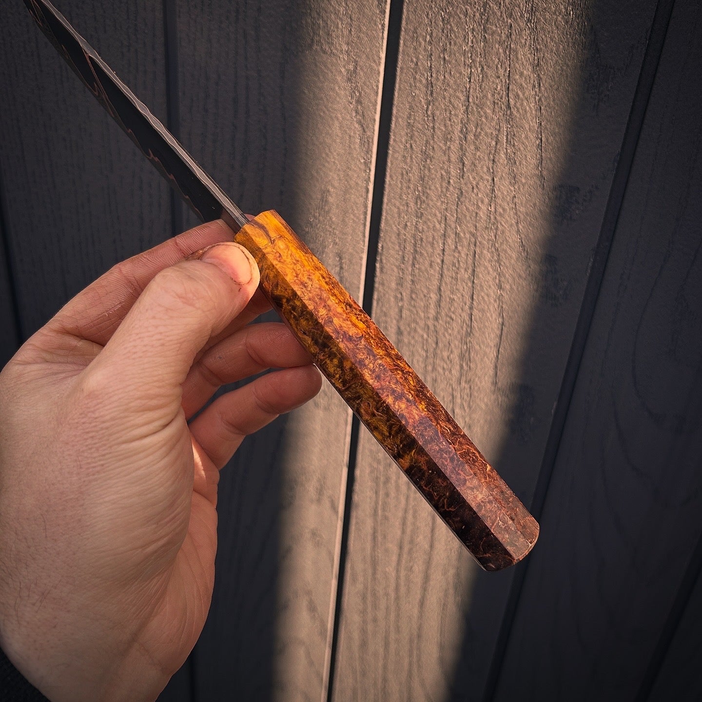 “Sunrise” Baby Nakiri